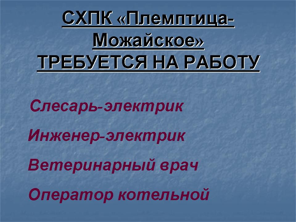 Vakansii